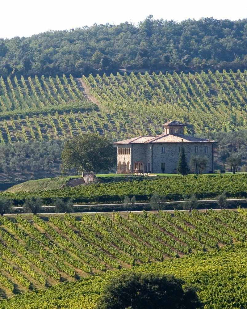Villa Barbi Umbria Rosso 750ml